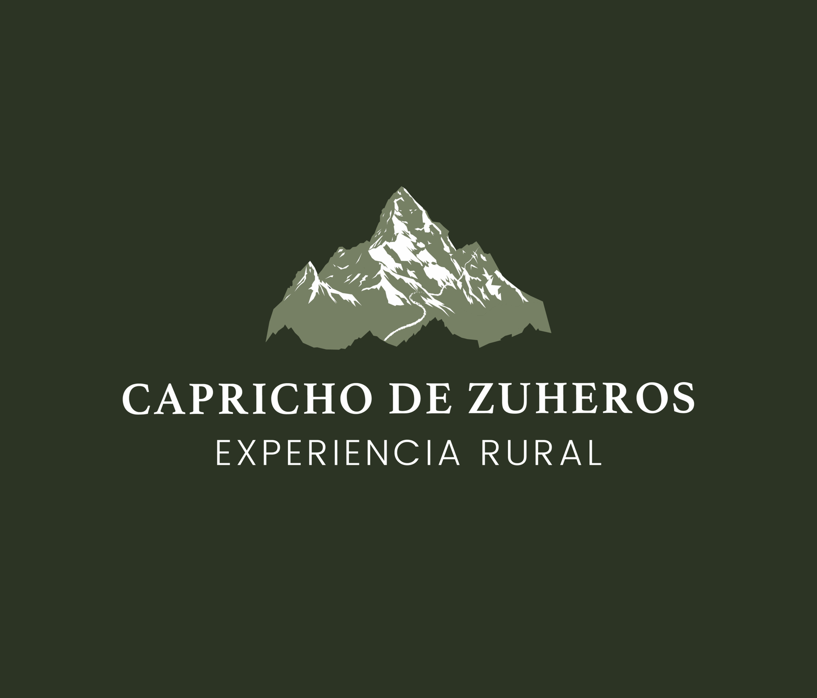 caprichodezuheros.com